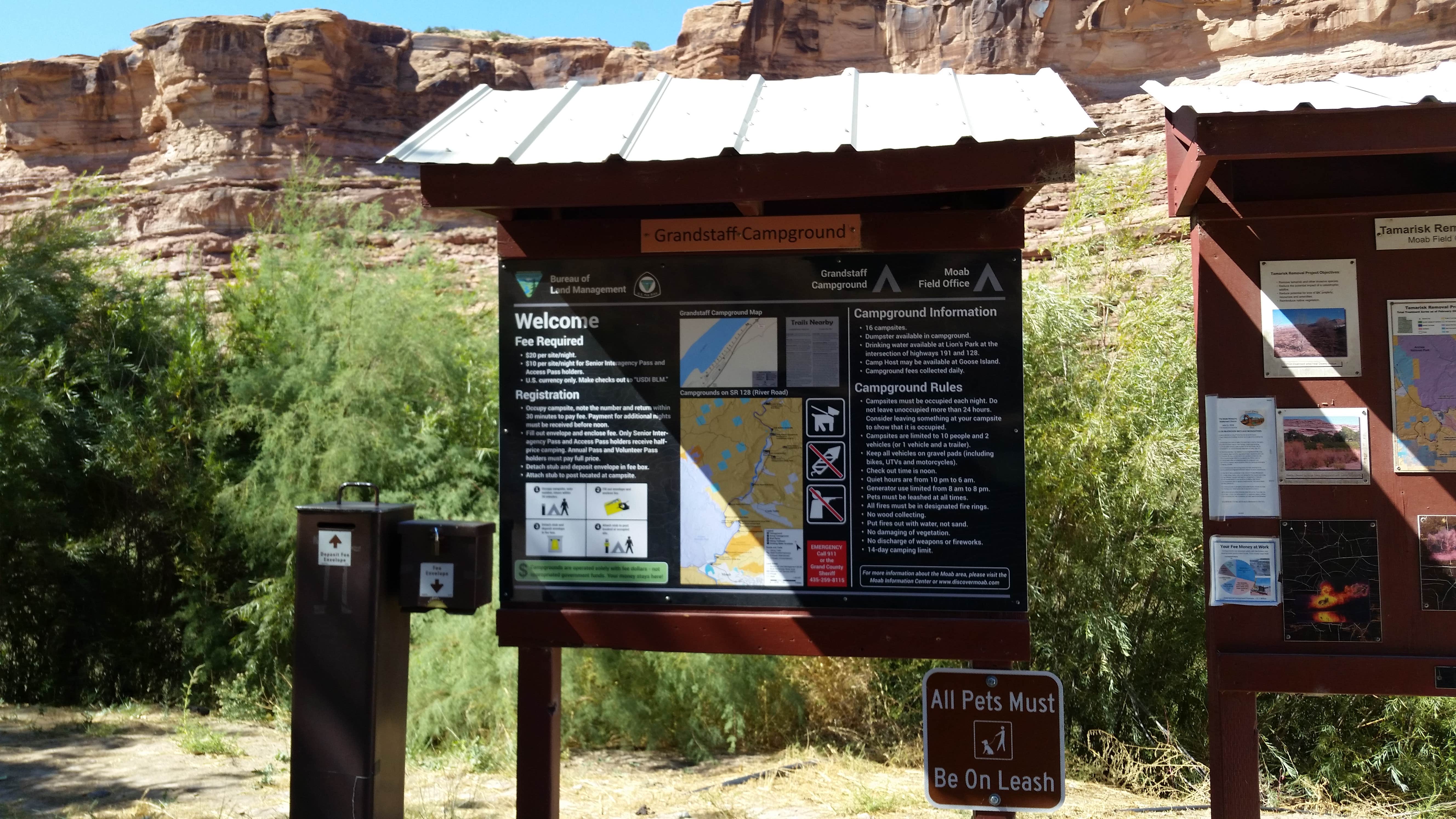 Camper submitted image from Grandstaff Campground - 5