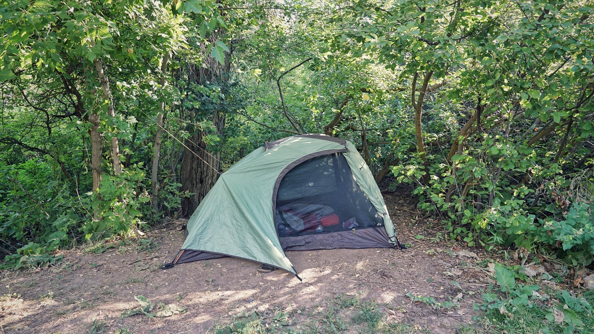 Dawnielle C.'s photo at Weber Memorial Park near Uinta-Wasatch-Cache National Forest