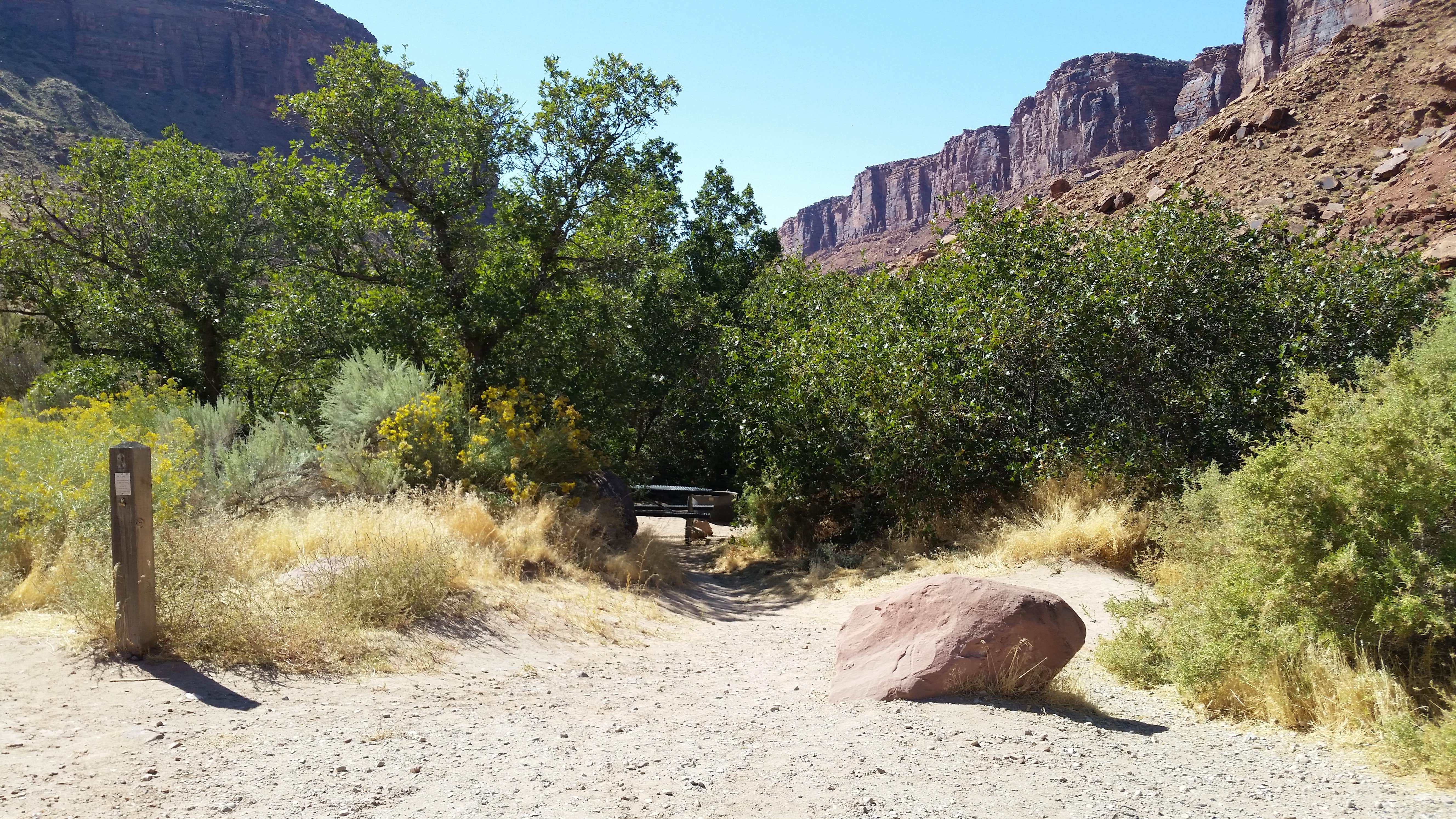 Camper submitted image from Drinks Canyon Campground - 2