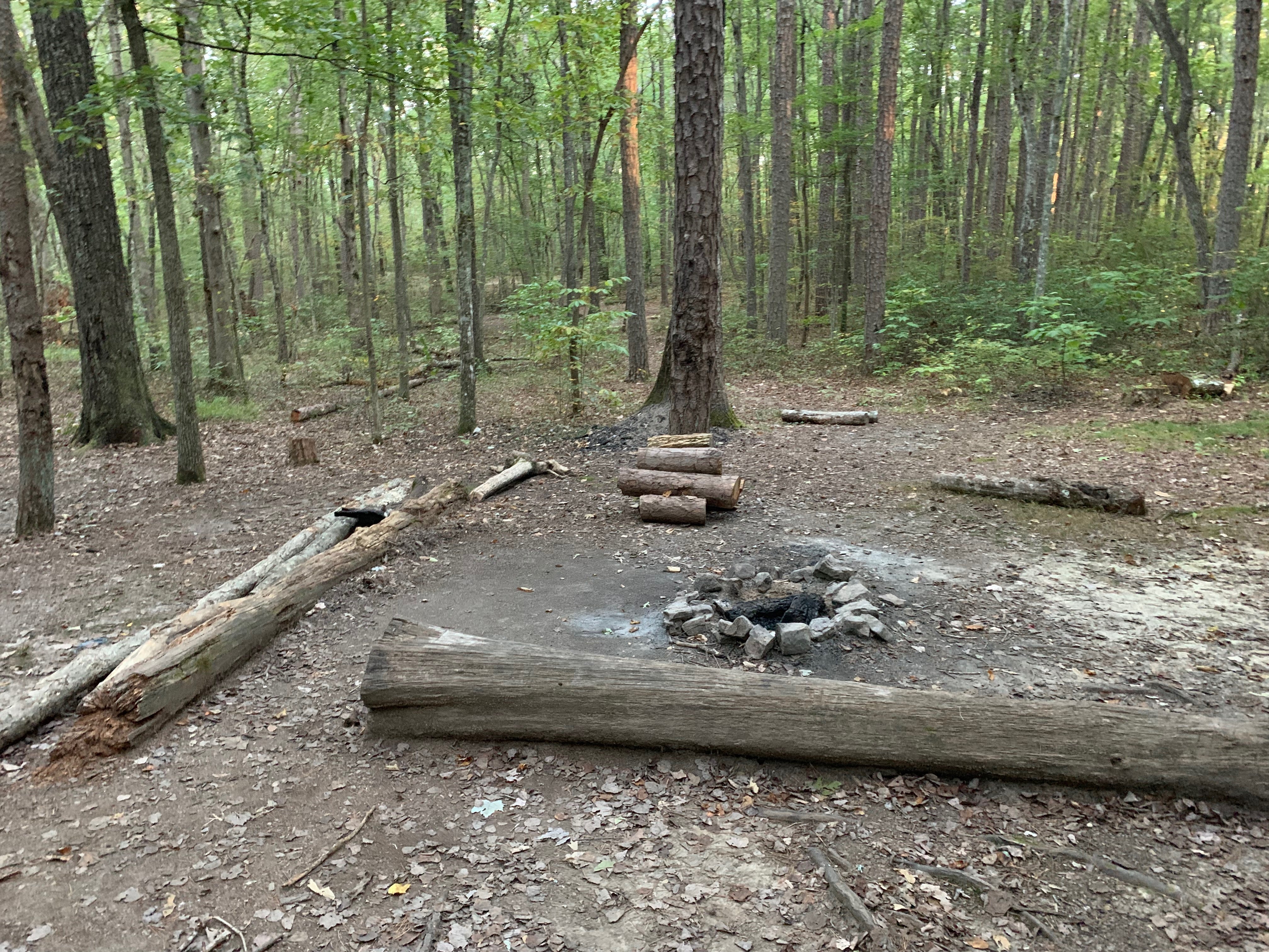 Fire Ring with logs to sit on.