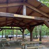 Review photo of Stone Door Campground — Savage Gulf State Park by Aaron S., October 15, 2019