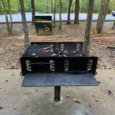 Review photo of Stone Door Campground — Savage Gulf State Park by Aaron S., October 15, 2019