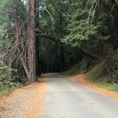Review photo of Big Sur Campground & Cabins by Suhas M., October 15, 2019