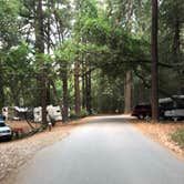 Review photo of Big Sur Campground & Cabins by Suhas M., October 15, 2019