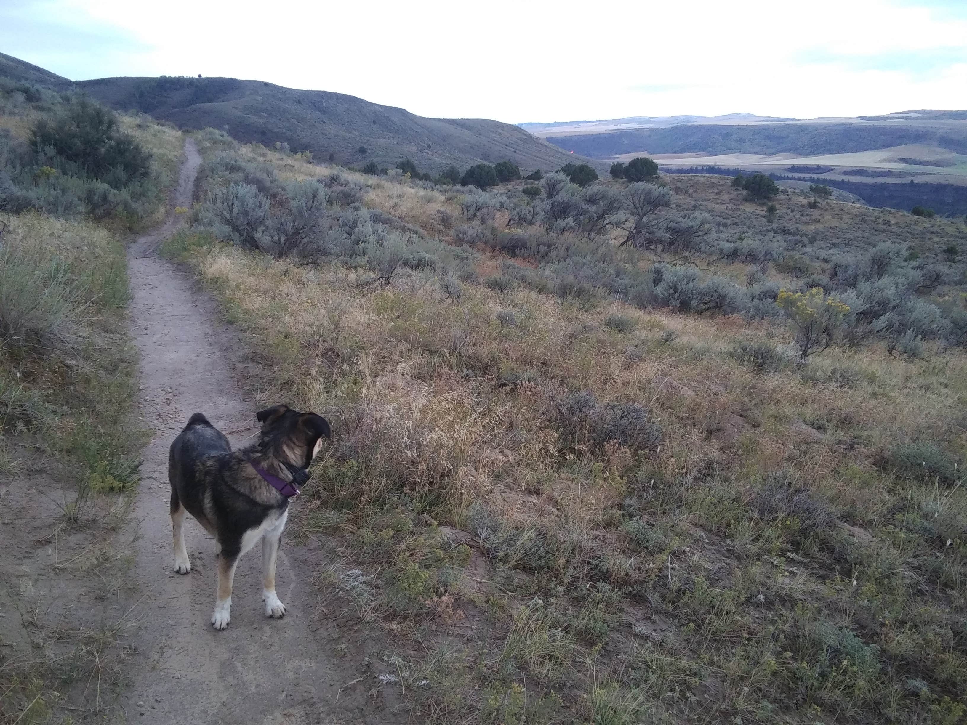 Camper submitted image from Wolf Flats Recreation Area - 2
