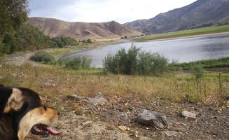 Emma K.'s photo of camping with pets at Farewell Bend State Recreation Area Campground near Adrian, OR