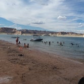 Review photo of Lone Rock Beach Primitive Camping Area — Glen Canyon National Recreation Area by Dave E., October 15, 2019