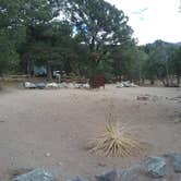 Review photo of Pinon Flats Campground — Great Sand Dunes National Park by Dexter I., October 15, 2019