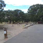 Review photo of Pinon Flats Campground — Great Sand Dunes National Park by Dexter I., October 15, 2019