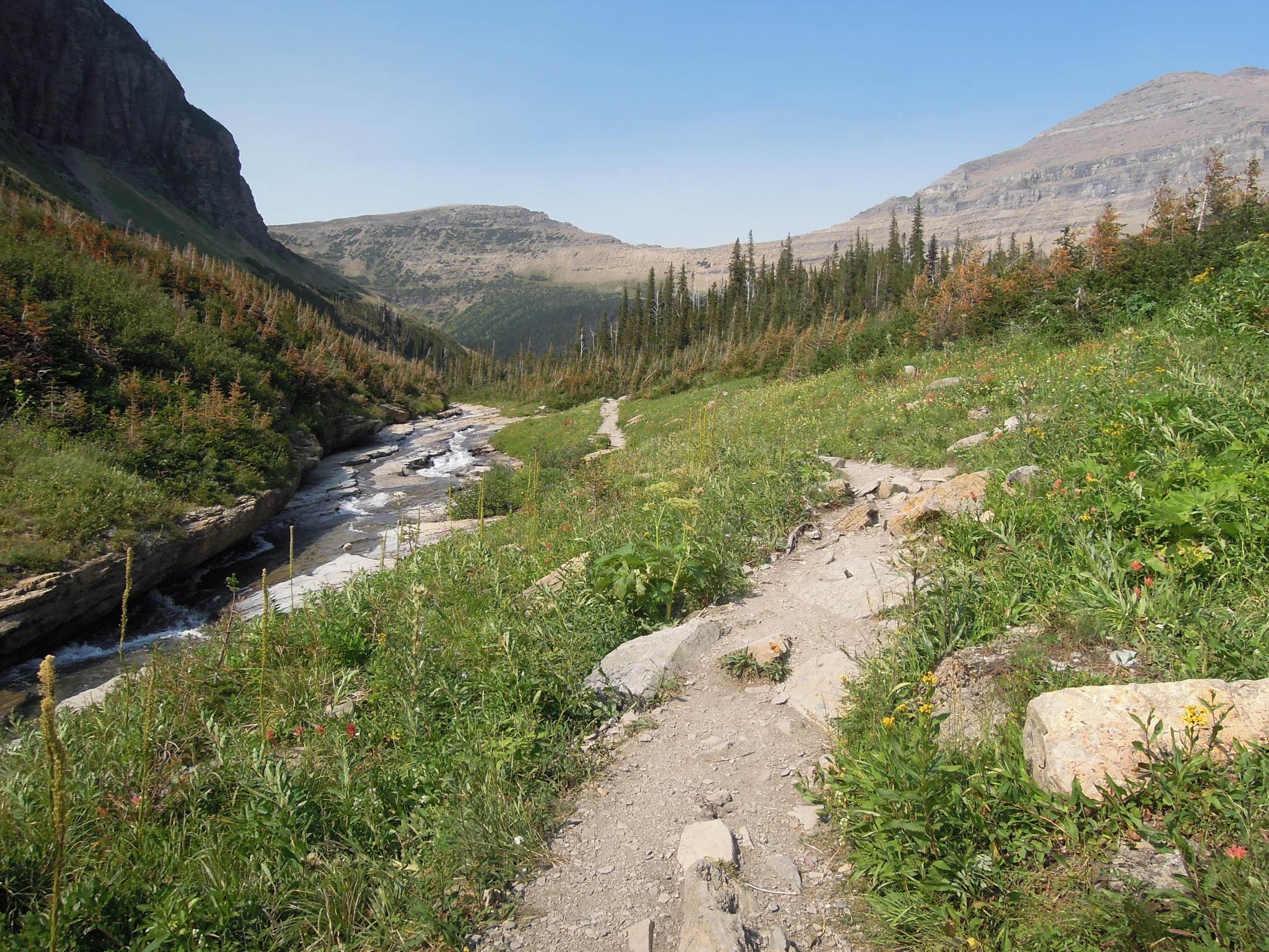 Camper submitted image from St Mary Campground - Glacier National Park — Glacier National Park - 3