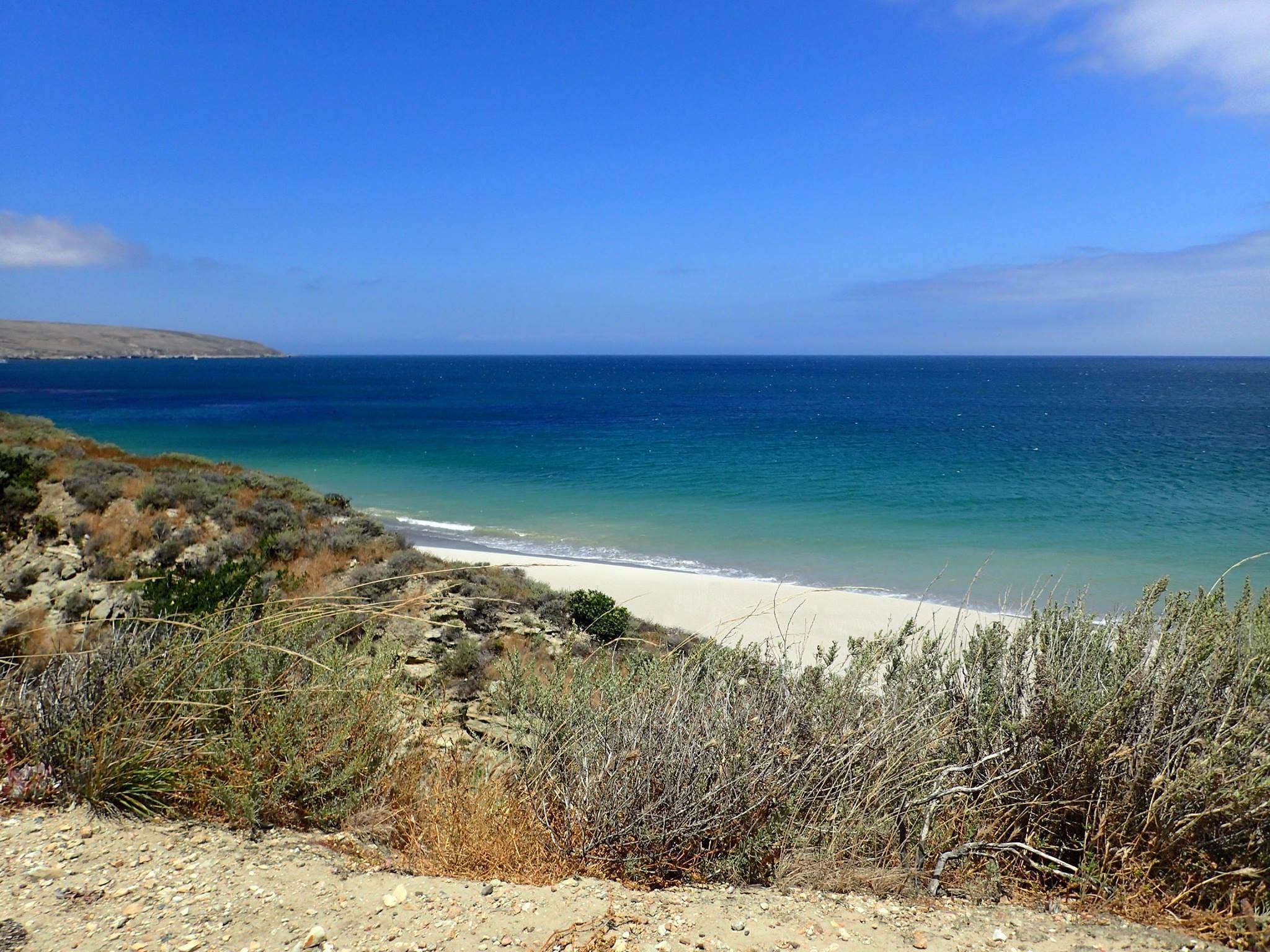 Camper submitted image from Santa Rosa Island Campground — Channel Islands National Park - 3