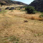 Review photo of Santa Rosa Island Campground — Channel Islands National Park by Lindsay C., August 16, 2017