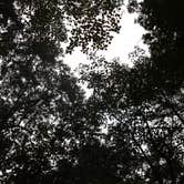 Review photo of Devils Fork State Park Campground by Rachel G., October 15, 2019