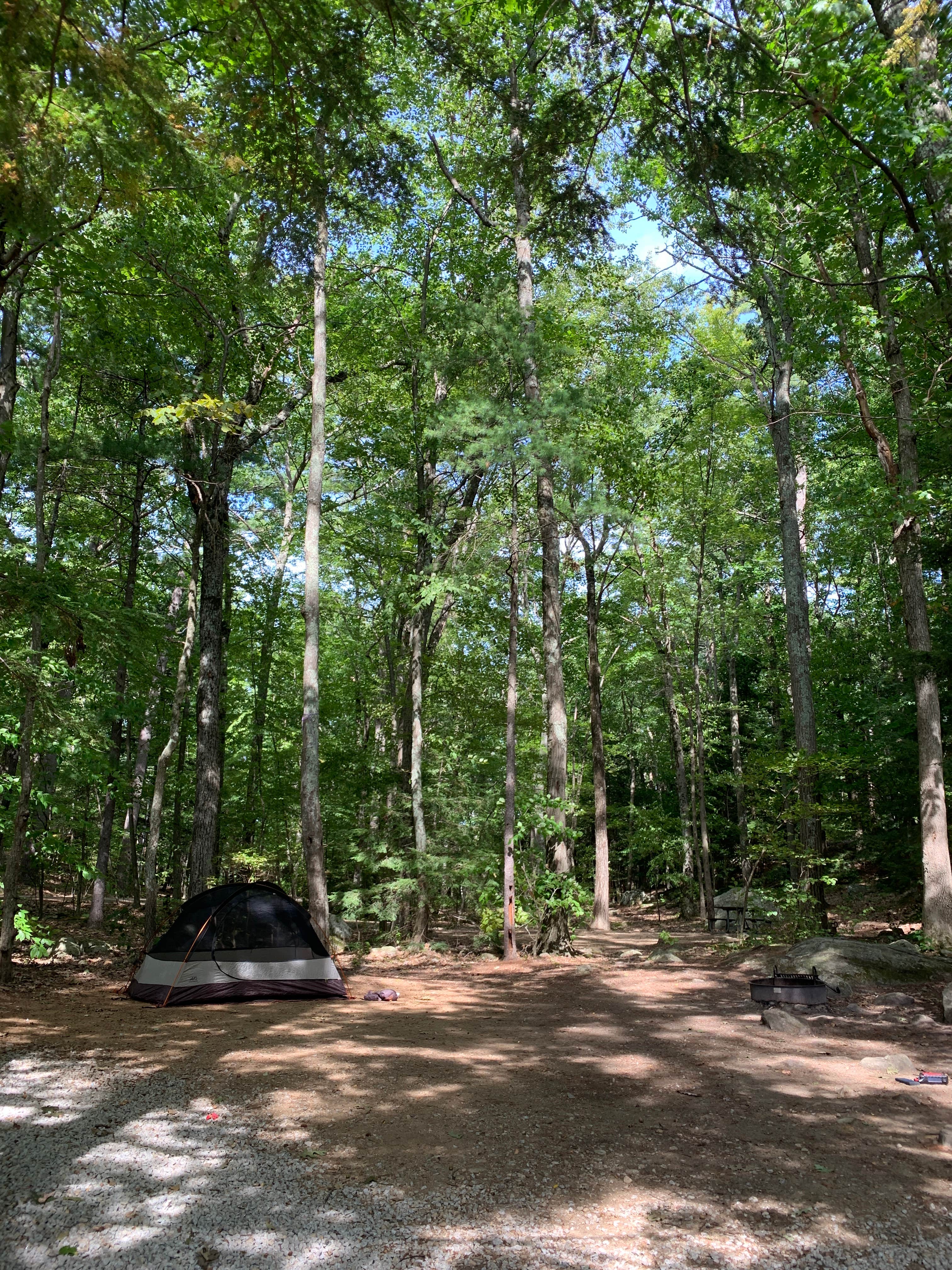 Anna C.'s photo at Pawtuckaway State Park Campground near Salem, NH