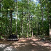 Review photo of Pawtuckaway State Park Campground by Anna C., October 15, 2019