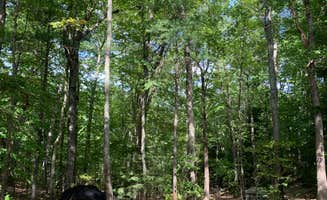 Anna C.'s photo at Pawtuckaway State Park Campground near Salem, NH