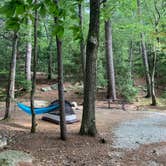 Review photo of Pawtuckaway State Park Campground by Anna C., October 15, 2019