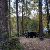 Review photo of Blu-Shastin RV Park by Mandy O., October 15, 2019