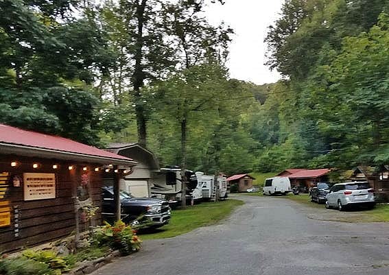 Myron C.'s photo at Lazy Turtle Campground & Cabins near Sylva, NC