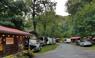 Myron C.'s photo of rv camping at Lazy Turtle Campground & Cabins near Waynesville, NC
