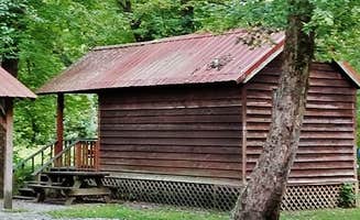 Myron C.'s photo of a cabin at Lazy Turtle Campground & Cabins near Cullowhee, NC