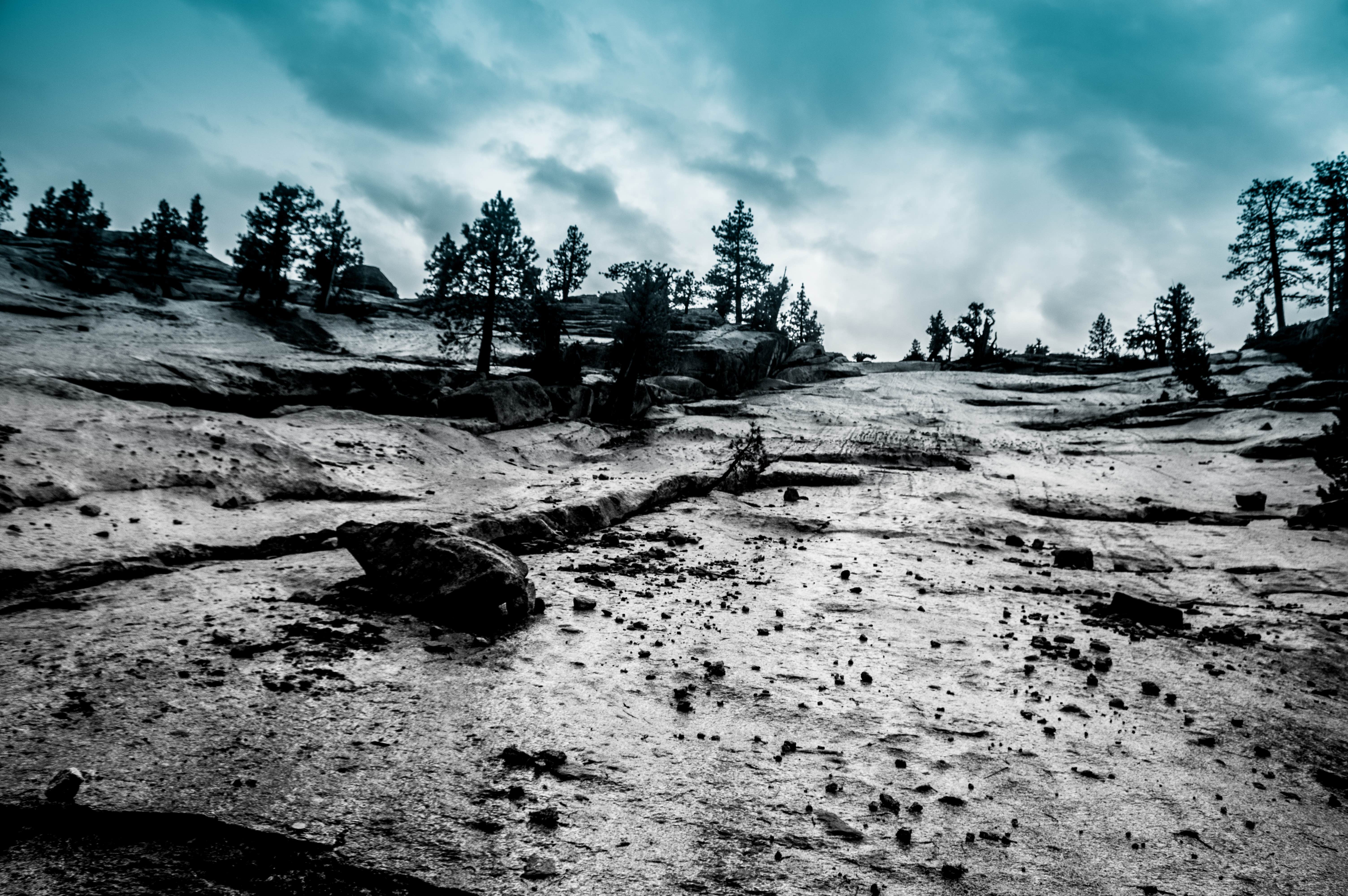 Camping near Alpine View Campground: Jackass Spring Campground, Trinity Center, California