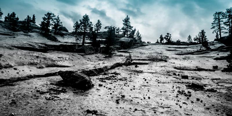 Camper submitted image from Jackass Spring Campground