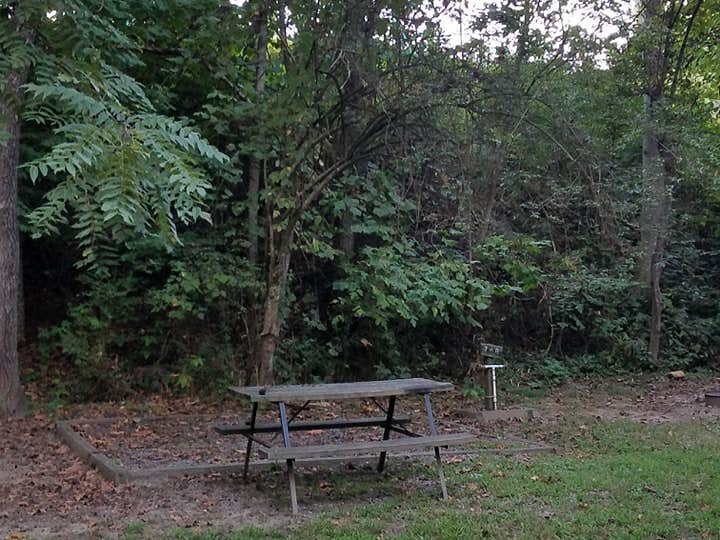 Camper submitted image from Craig's Cherokee Campground - 5