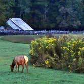 Review photo of Craig's Cherokee Campground by Myron C., October 15, 2019