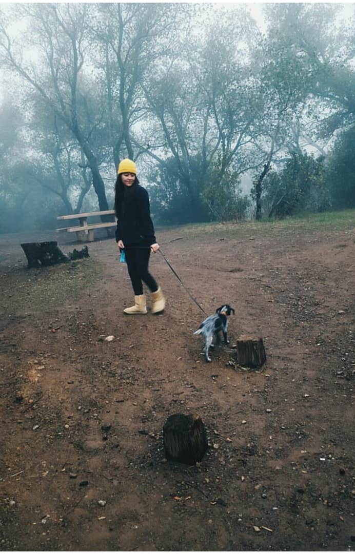 Morgan F.'s photo of camping with pets at Blue Jay Campground - TEMPORARILY CLOSED near Anaheim, CA