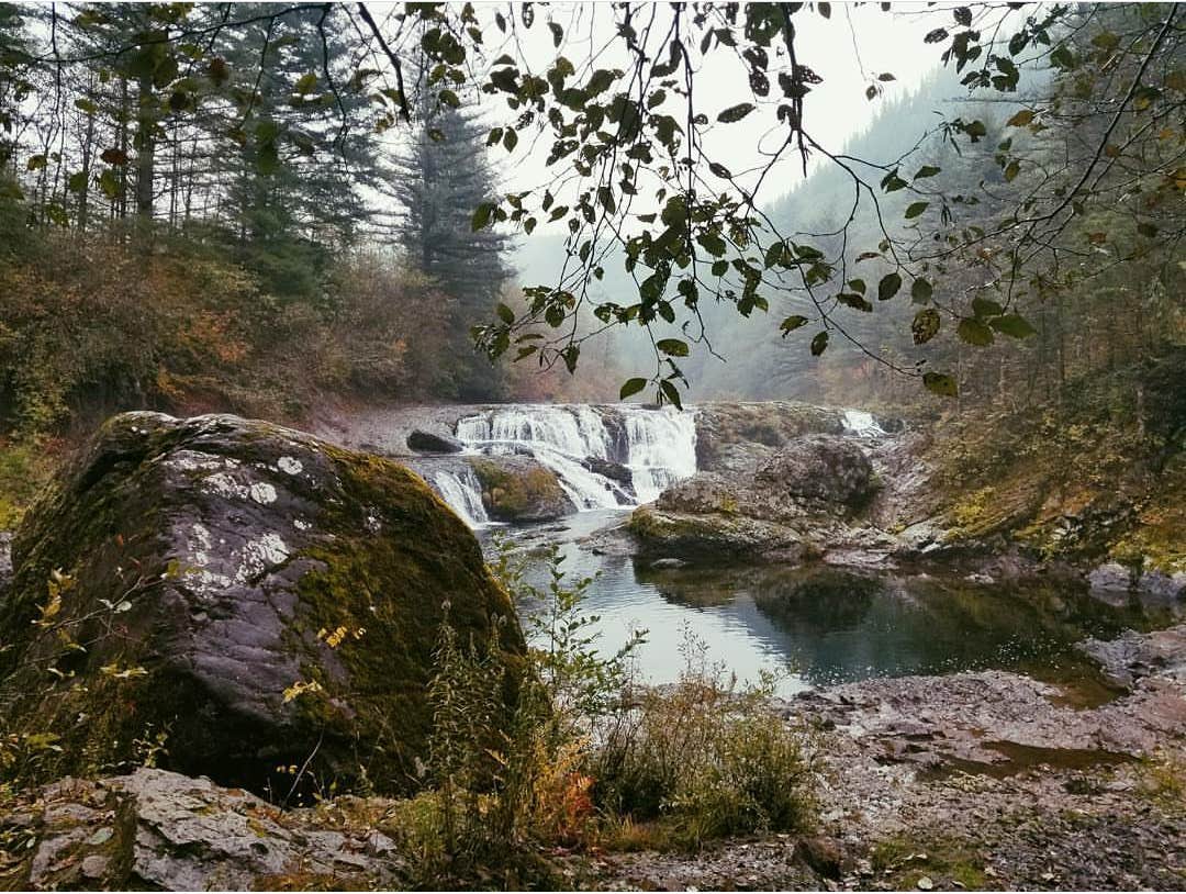 Camper-submitted photo at Dougan Creek Campground near Bridal Veil, OR