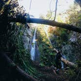 Review photo of Limekiln State Park Campground — TEMPORARILY CLOSED by Morgan F., July 27, 2018