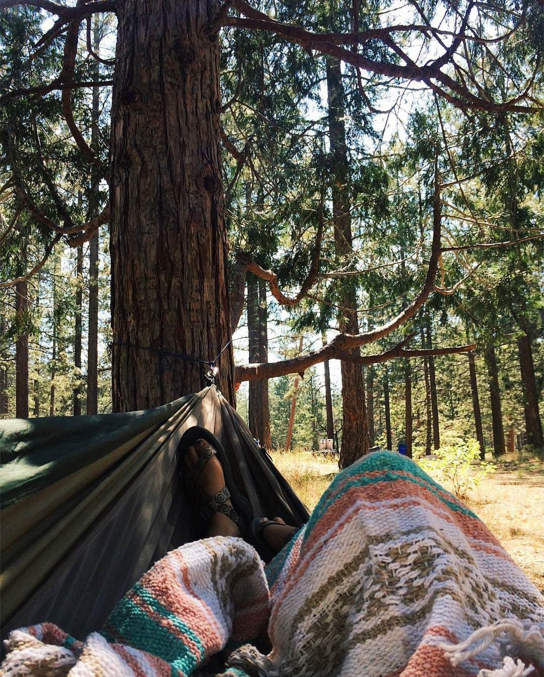 Camper submitted image from Barton Flats Family Campground - 4