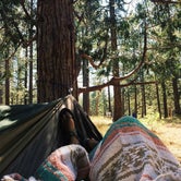 Review photo of Barton Flats Family Campground by Morgan F., July 27, 2018