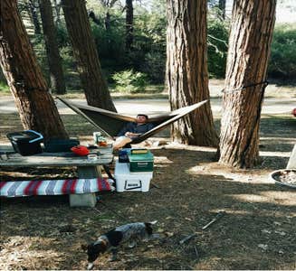 Camper-submitted photo from Paso Picacho Campground — Cuyamaca Rancho State Park