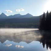 Review photo of Bowman Lake Campground — Glacier National Park by David B., June 29, 2016