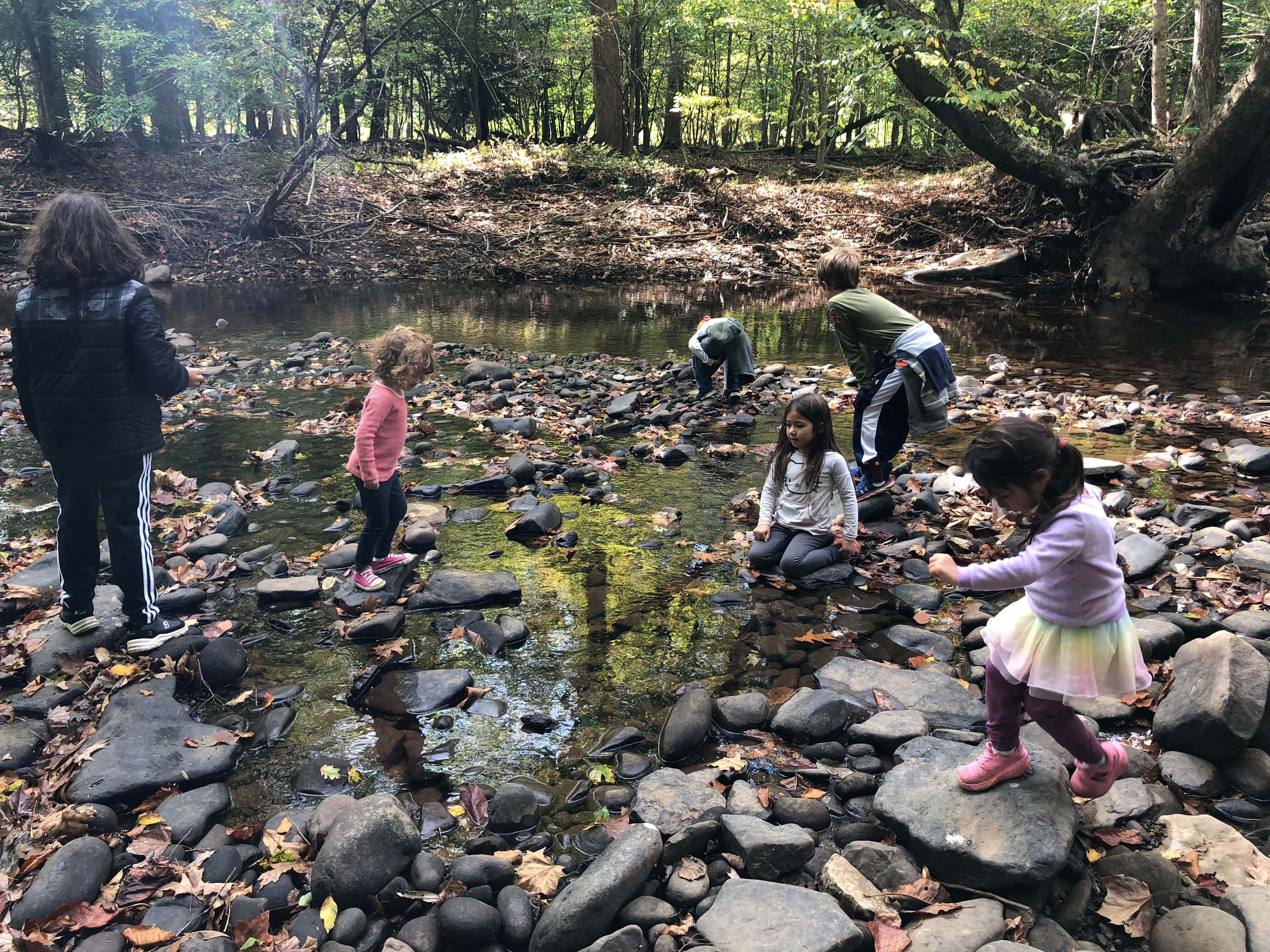 Camper submitted image from Stuart Recreation Area - 5