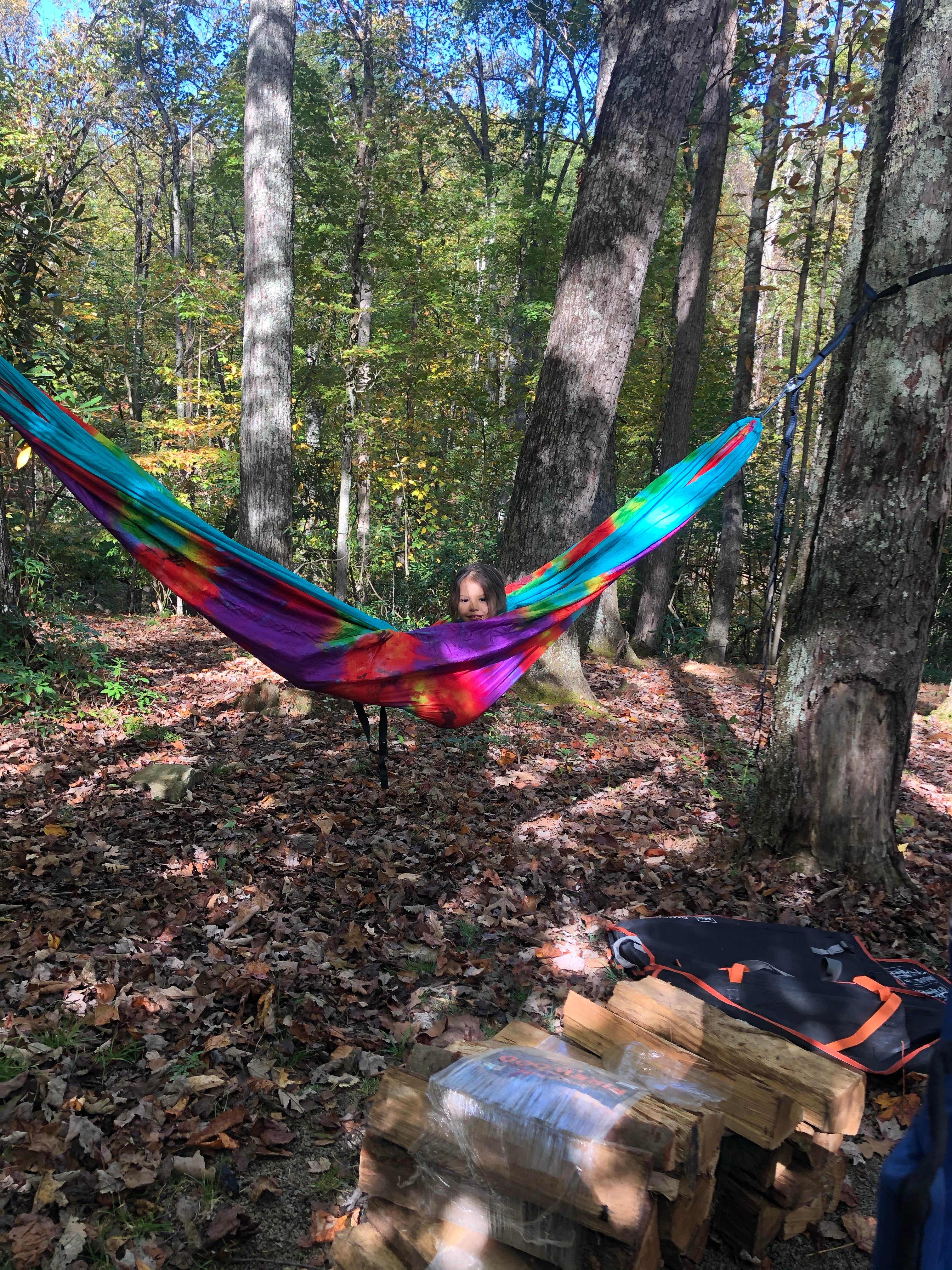 Camper-submitted photo at Stuart Recreation Area near Seneca Rocks, WV