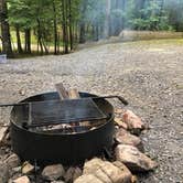 Review photo of Rocky Gap State Park Campground by Lysandra R., October 16, 2019