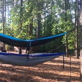 Review photo of Tall Pine Campground by Savannah F., October 16, 2019