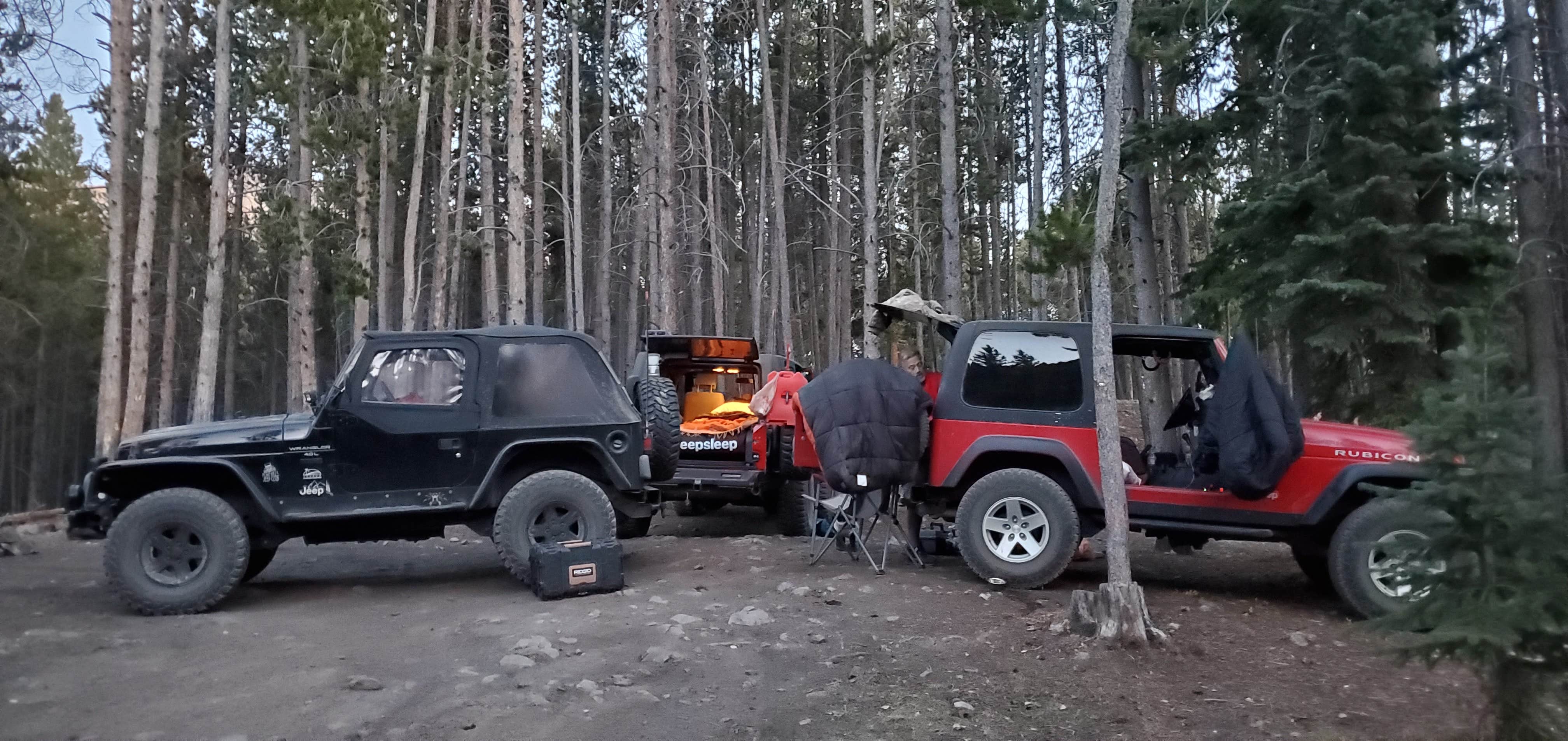 Camper submitted image from Boreas Pass Road Designated Dispersed Camping - 3