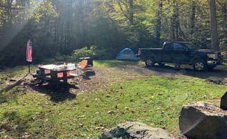 Vicky M.'s photo at Cranberry Campground near Hillsboro, WV