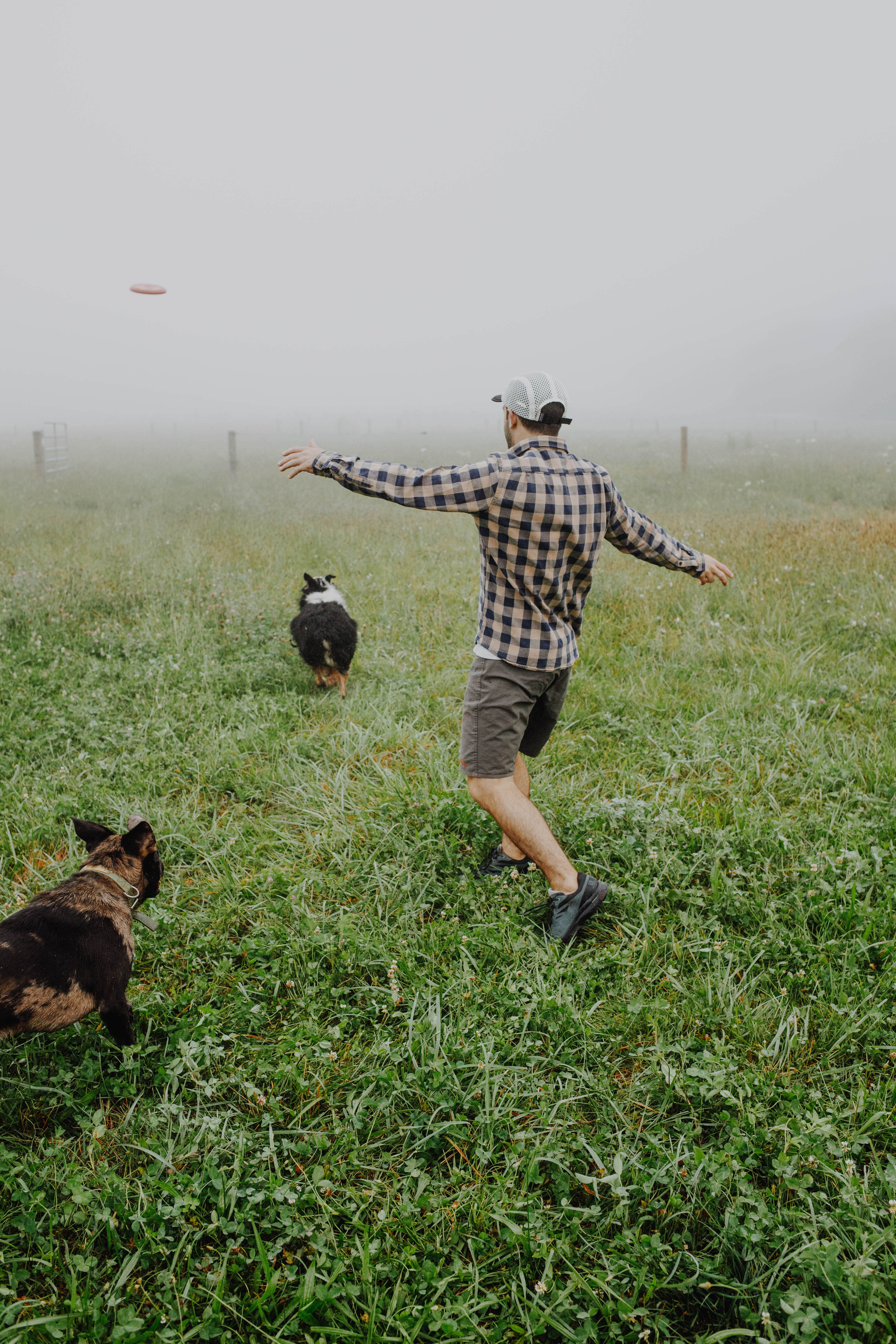 Sellers S.'s photo of camping with pets at Bent River Equestrian near Brevard, NC