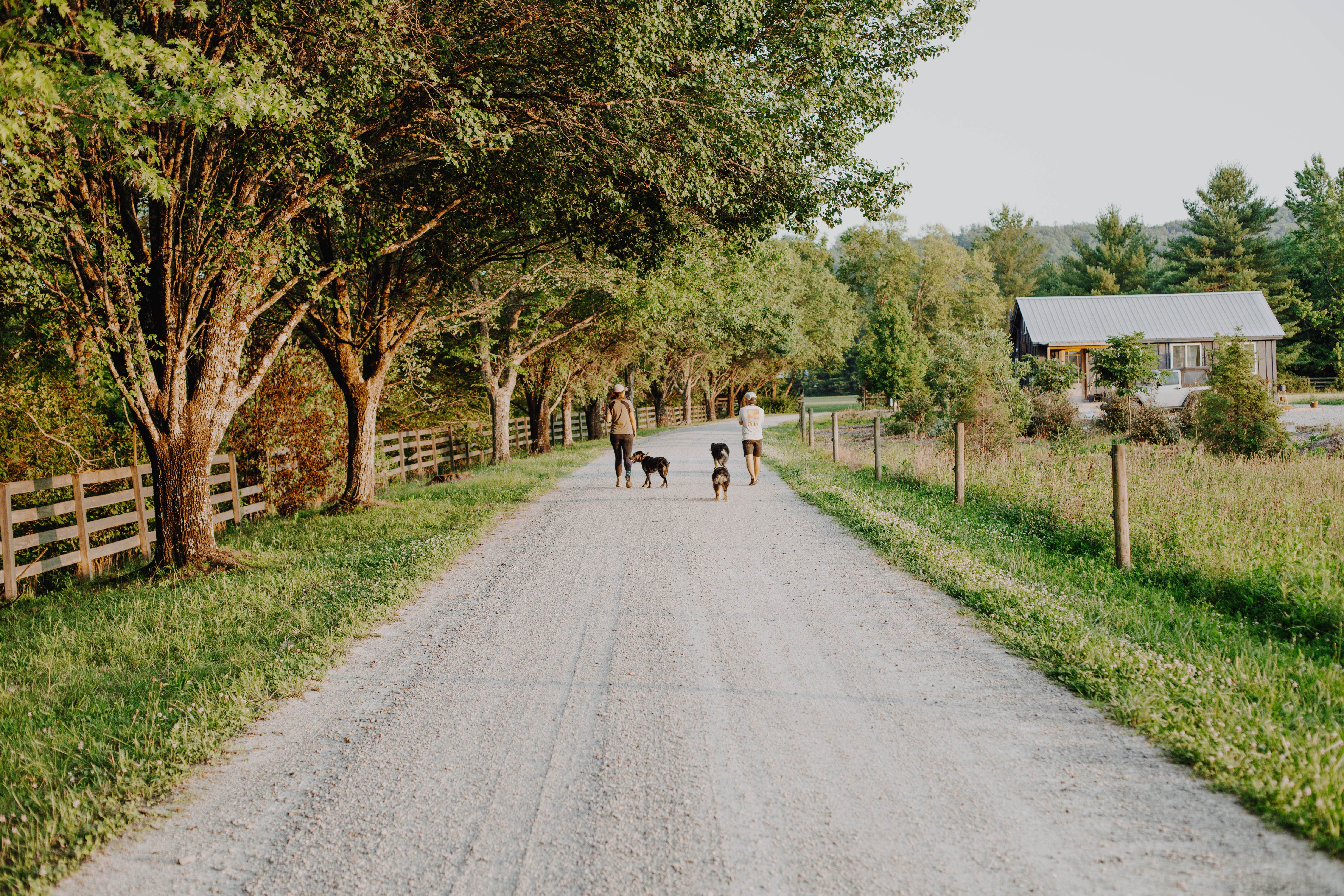Camper-submitted photo at Bent River Equestrian near Pisgah Forest, NC