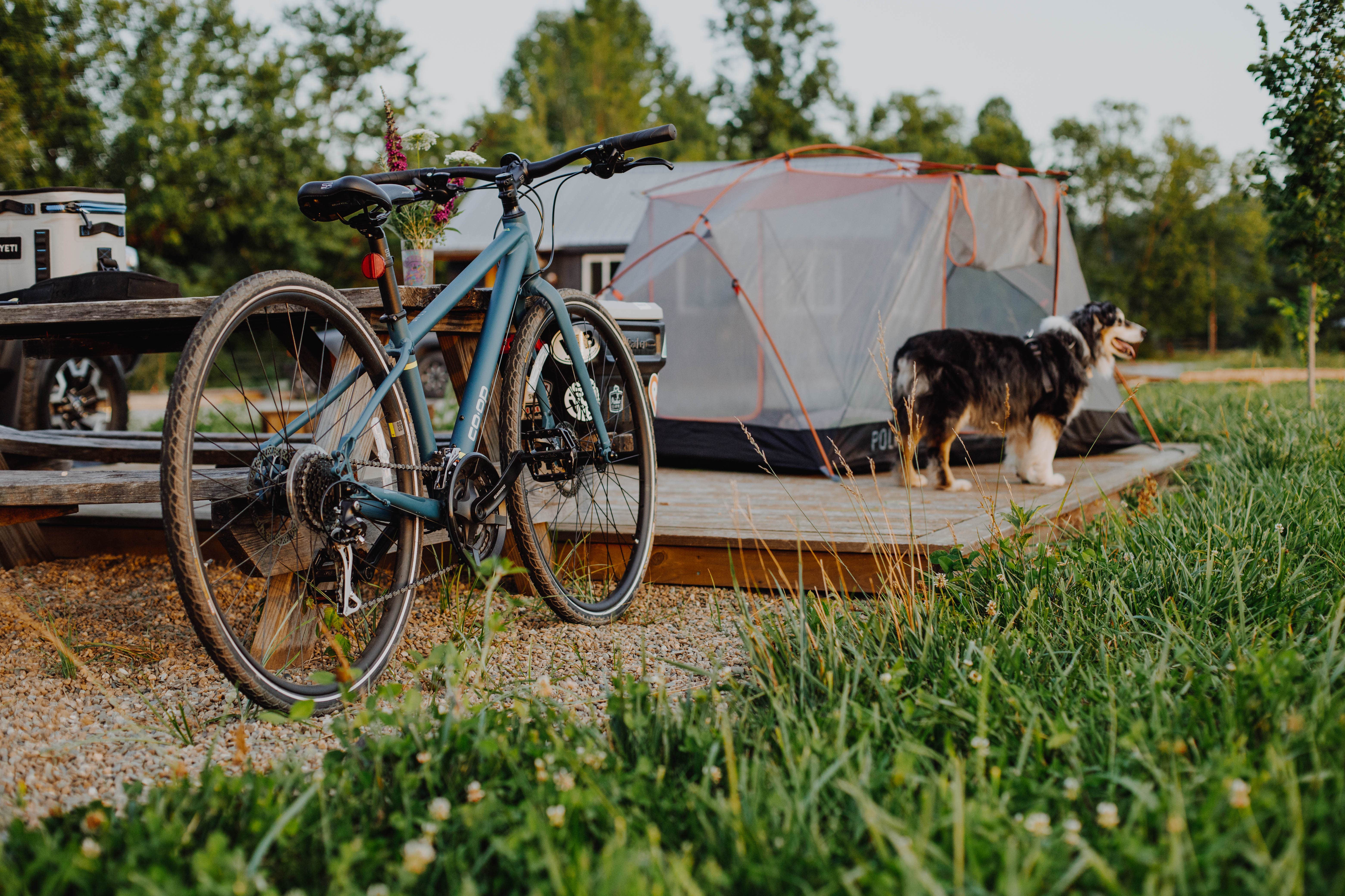 Camper-submitted photo at Bent River Equestrian near Pisgah Forest, NC
