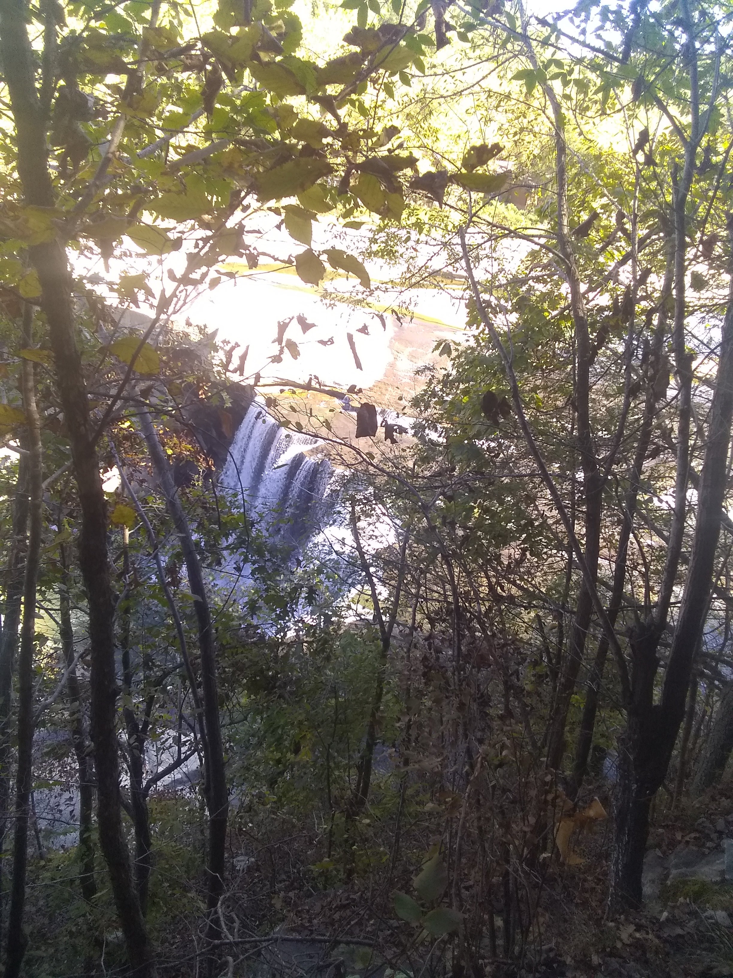 Cumberland falls