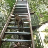 Review photo of Bandy Creek Campground — Big South Fork National River and Recreation Area by Marsha K., October 16, 2019