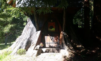 Camping near Baxter Environmental Camp — Humboldt Redwoods State Park: Stafford RV Park, Carlotta, California