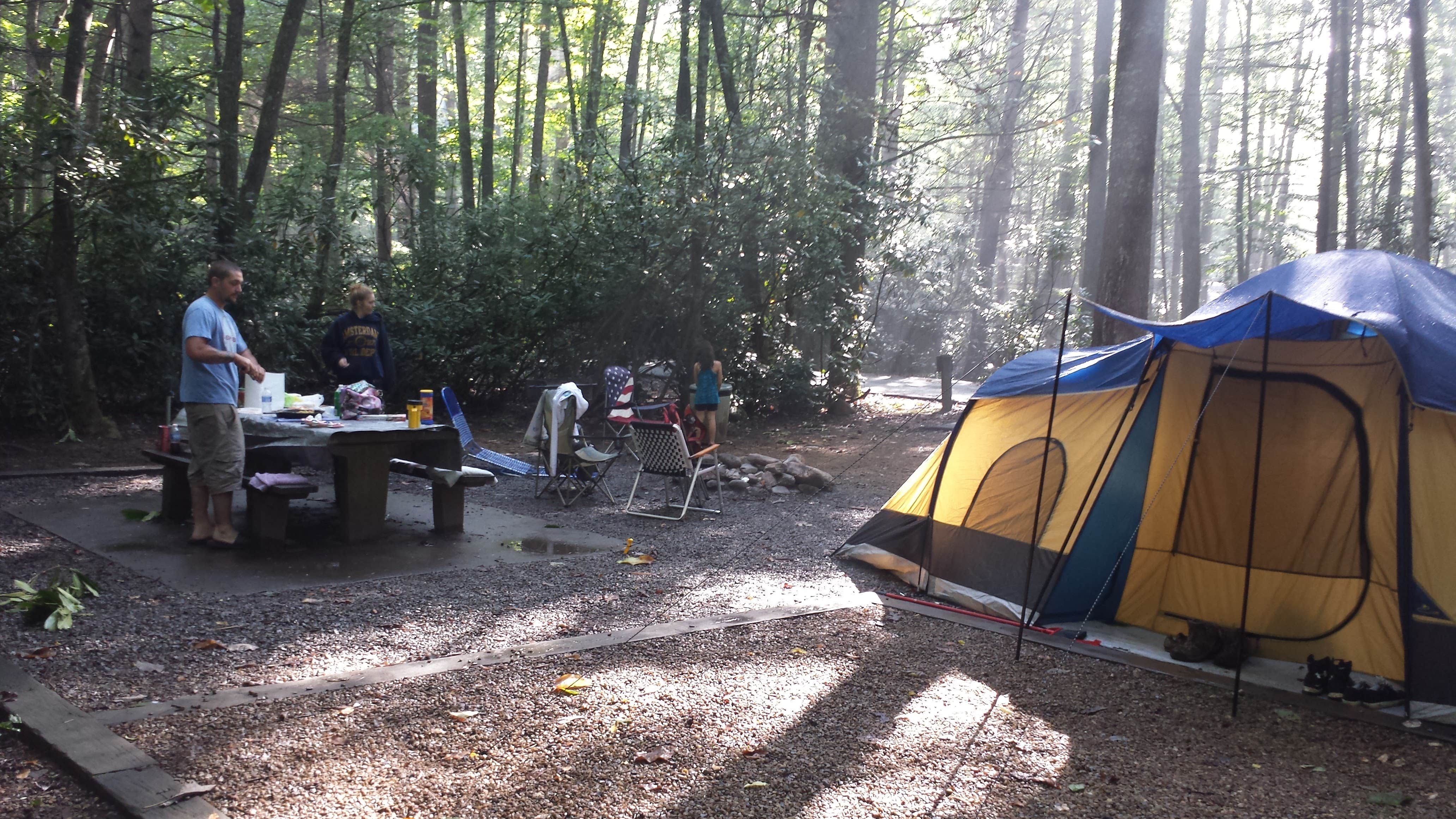 Marsha K.'s photo at Roan Mountain State Park Campground near Bakersville, NC