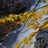 Review photo of Poplar Stream Hut by Lee D., October 16, 2019